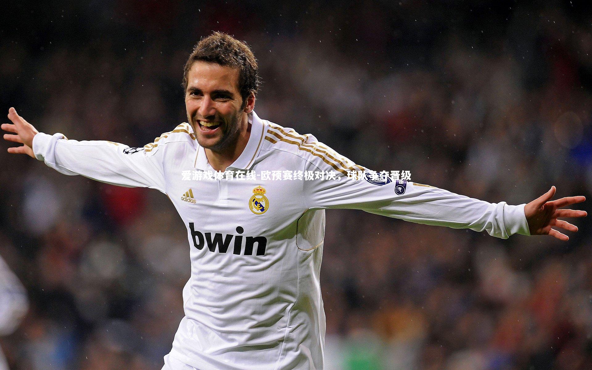 欧预赛终极对决，球队争夺晋级