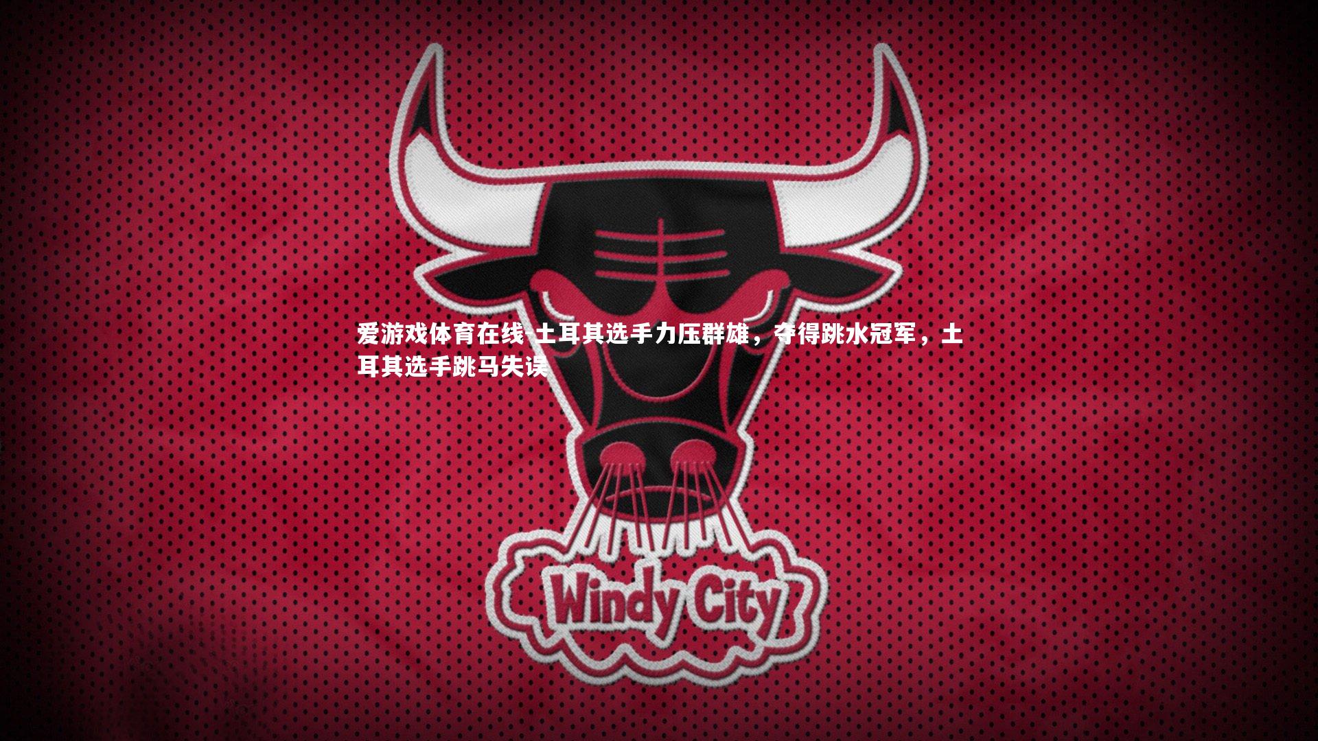 土耳其选手力压群雄,夺得跳水冠军,土耳其选手跳马失误