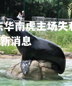 爱游戏体育在线-广东华南虎主场失利，降级区形势严峻，广东华南虎足球队最新消息